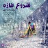 آهنگ جدید مهران فرج اللهی به نام شروع تازه